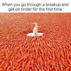 post-12649-0-36731900-1476522242_thumb.jpg