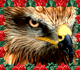 post-105260-1196282852_thumb.gif