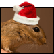 post-21406-1194731122_thumb.png