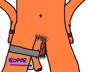 post-25769-1194969538_thumb.jpg