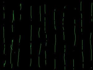 post-95709-1195864624_thumb.jpg