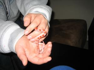 post-172543-1226843993_thumb.jpg
