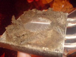 post-112477-1259201331_thumb.jpg