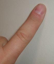 post-74801-1259318223_thumb.jpg