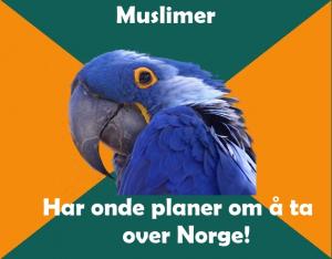 36.jpg