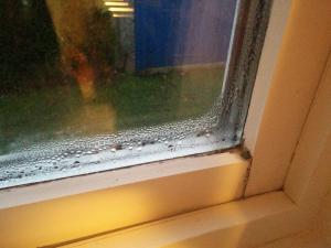 IMG_20141129_154510.jpg