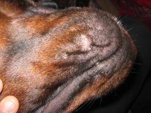 post-144059-1230670422_thumb.jpg