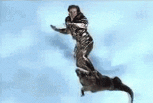 post-170335-0-03810300-1293343740_thumb.gif