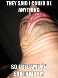 post-91083-0-80099900-1291730238_thumb.jpg