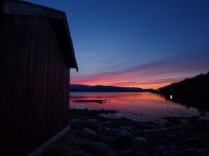 post-201296-0-07553200-1324333654_thumb.jpg
