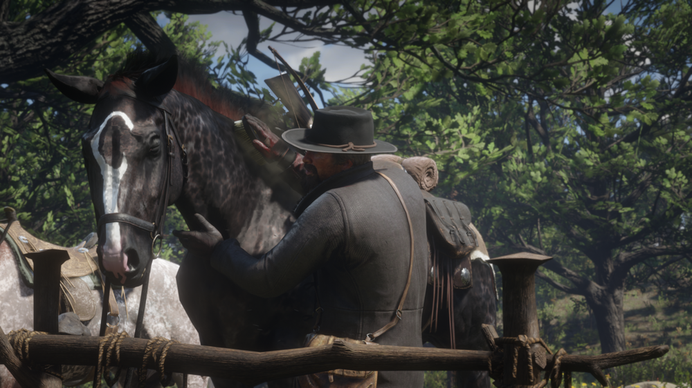 RDR2-Horsecare.thumb.png.f0ed93712b15b306d69e93abf48ff902.png