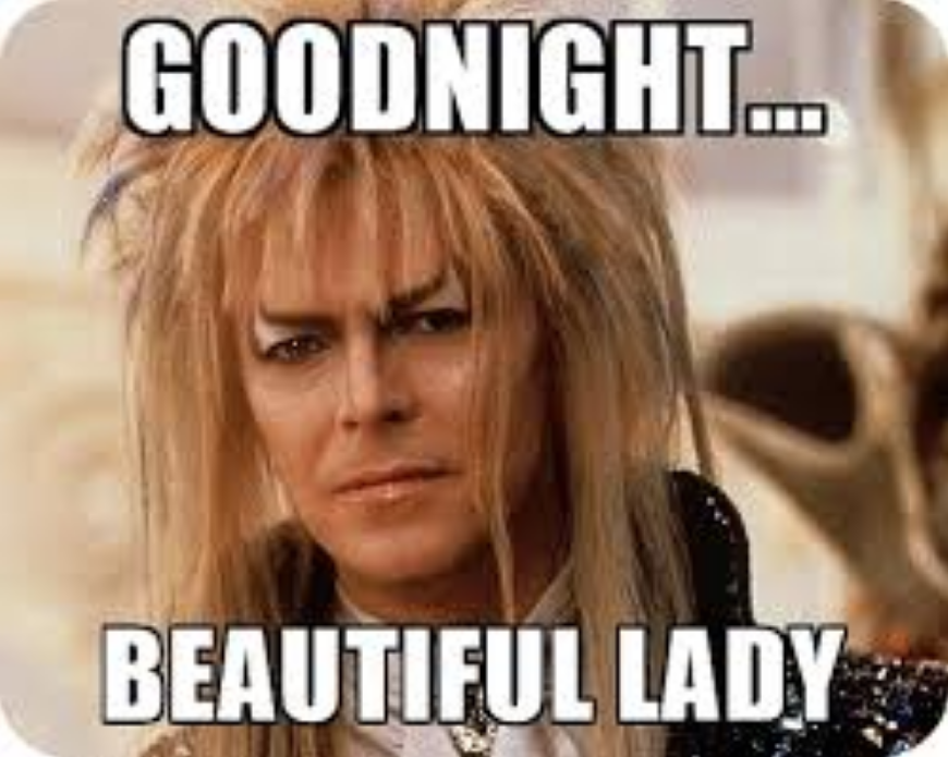 David_Bowie_goodnight-meme.PNG.cd296ee5f3835364d049f7b390800549.PNG