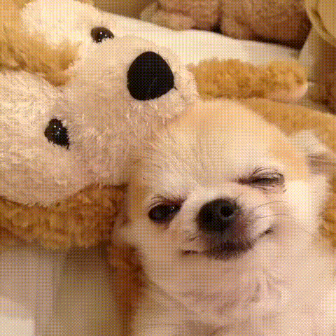image.gif.9839267b8823ba600c357a19a118ae82.gif