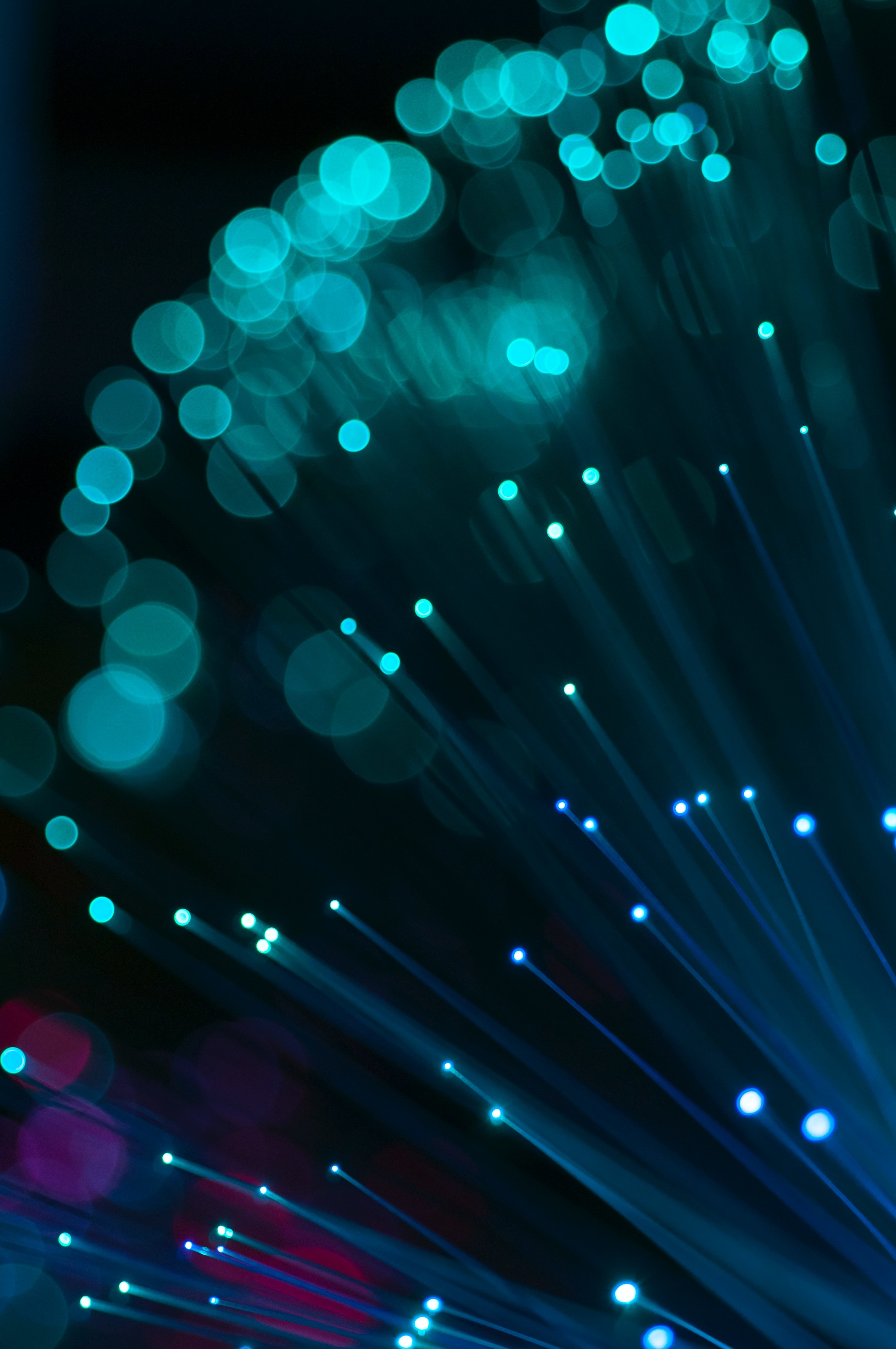 Hva skal privatkunder med fiber?