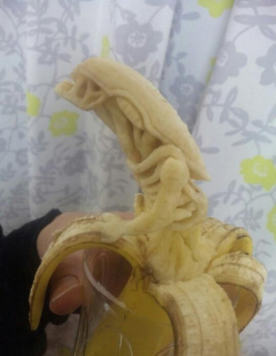 banan4.jpg