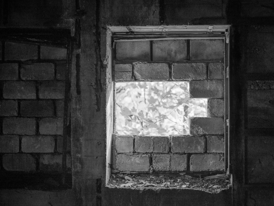 20201003_029_a7ll-7a75bw.thumb.jpg.37bc14a2d1ed2766cefefbdb33098466.jpg