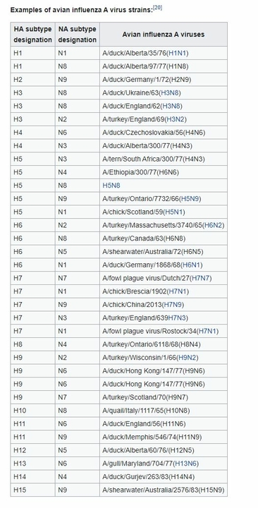 Avian-Flu-Strains.thumb.JPG.a85a8adcdf5689dad3908bef1704ca9f.JPG