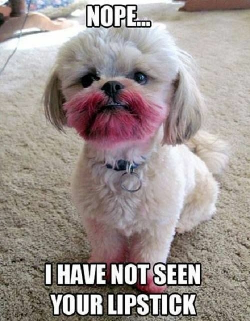 not_seen_your_lipstick.jpg.3c2f33d82859cad9e280086191df5b32.jpg