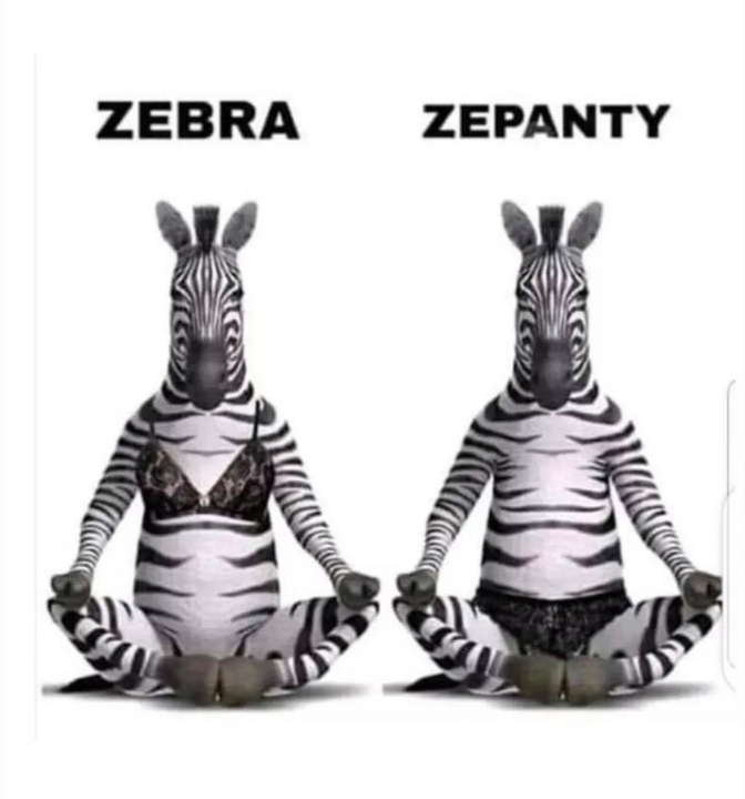 1831766953_ZebraZepanty.thumb.jpg.54432f4236ebd32af5294186b4d57168.jpg