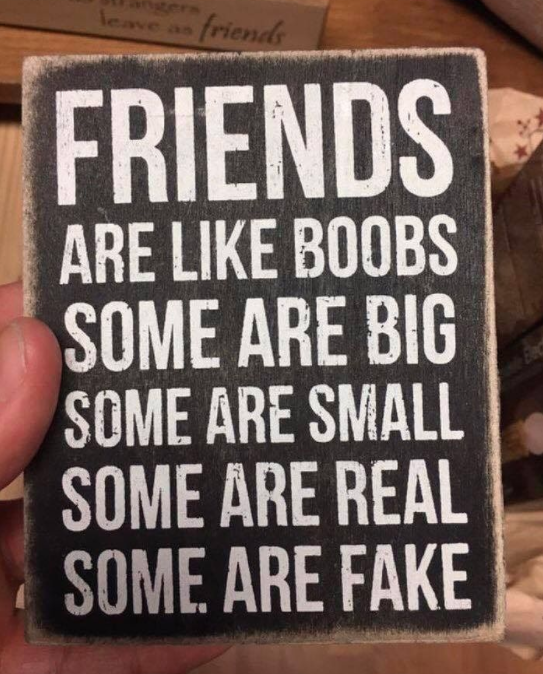 214546189_Friendsarelikeboobs.jpg.png.c402e6cfea2c4990324bcb3756eaba12.png