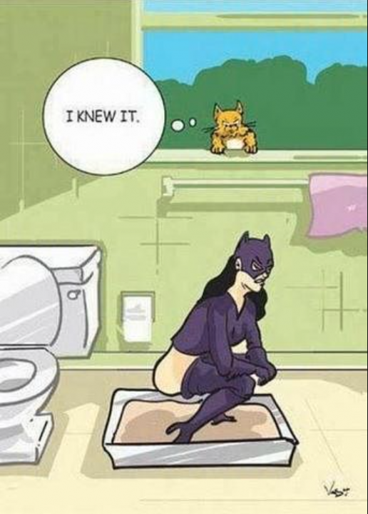 2115158568_Catwomantoilet.thumb.png.3eb540a09f5533810ef64639a338b248.png