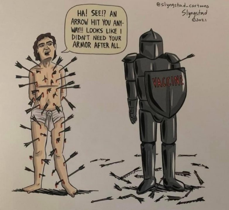 vaccines_armor.jpg
