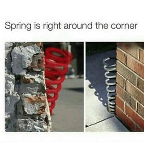 2139095797_springisaroundthecorner.png.0df1b35eecdb0a3ac97ee6bd0b83bcd0.png