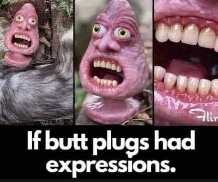 491846259_Buttplugshaveexpressions.png.a4966067e5f71e121485929e8759f11a.png