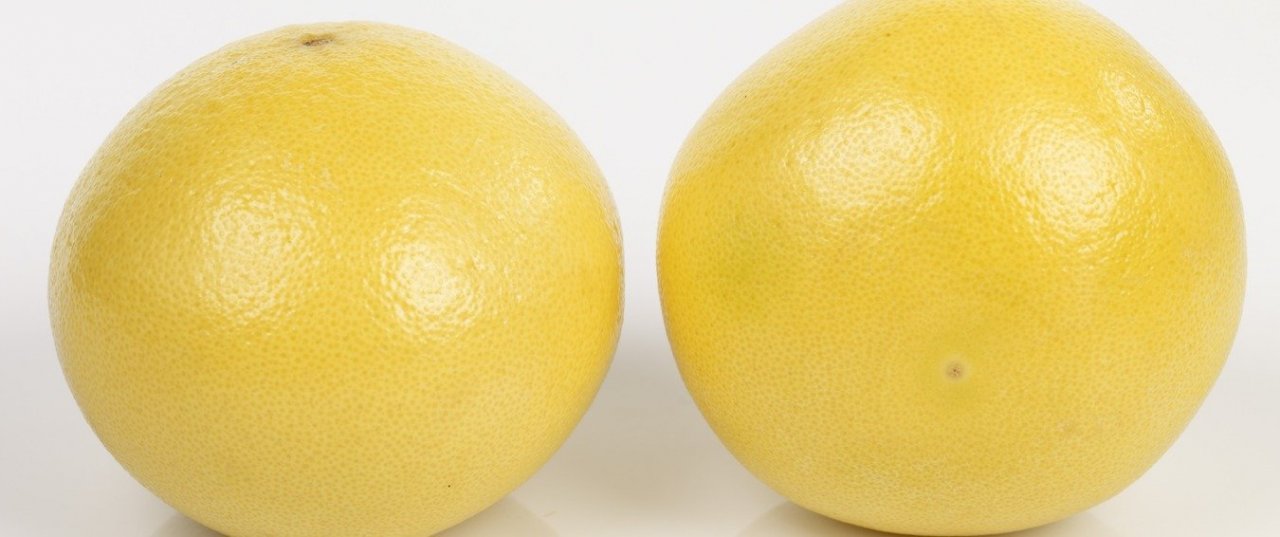 Grapefrukt_llyraqp4pt-Ravare.jpg