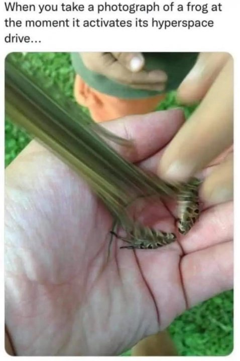 1991469805_Hyperspacefrog.thumb.jpeg.f8f972310a43882b5941a83f4cb4df0f.jpeg