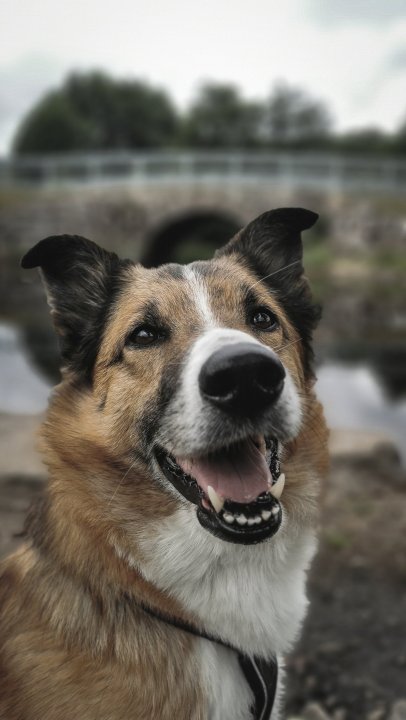 IMG_20210813_135620_1 (1).jpg