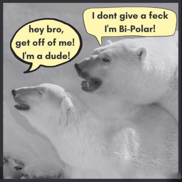 Bi-polar.thumb.png.711a35f7ba051b667da460756a8d46f8.png