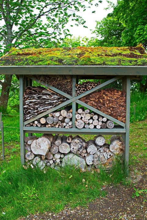 P1410892-insektshotell - Ringve_6.jpg