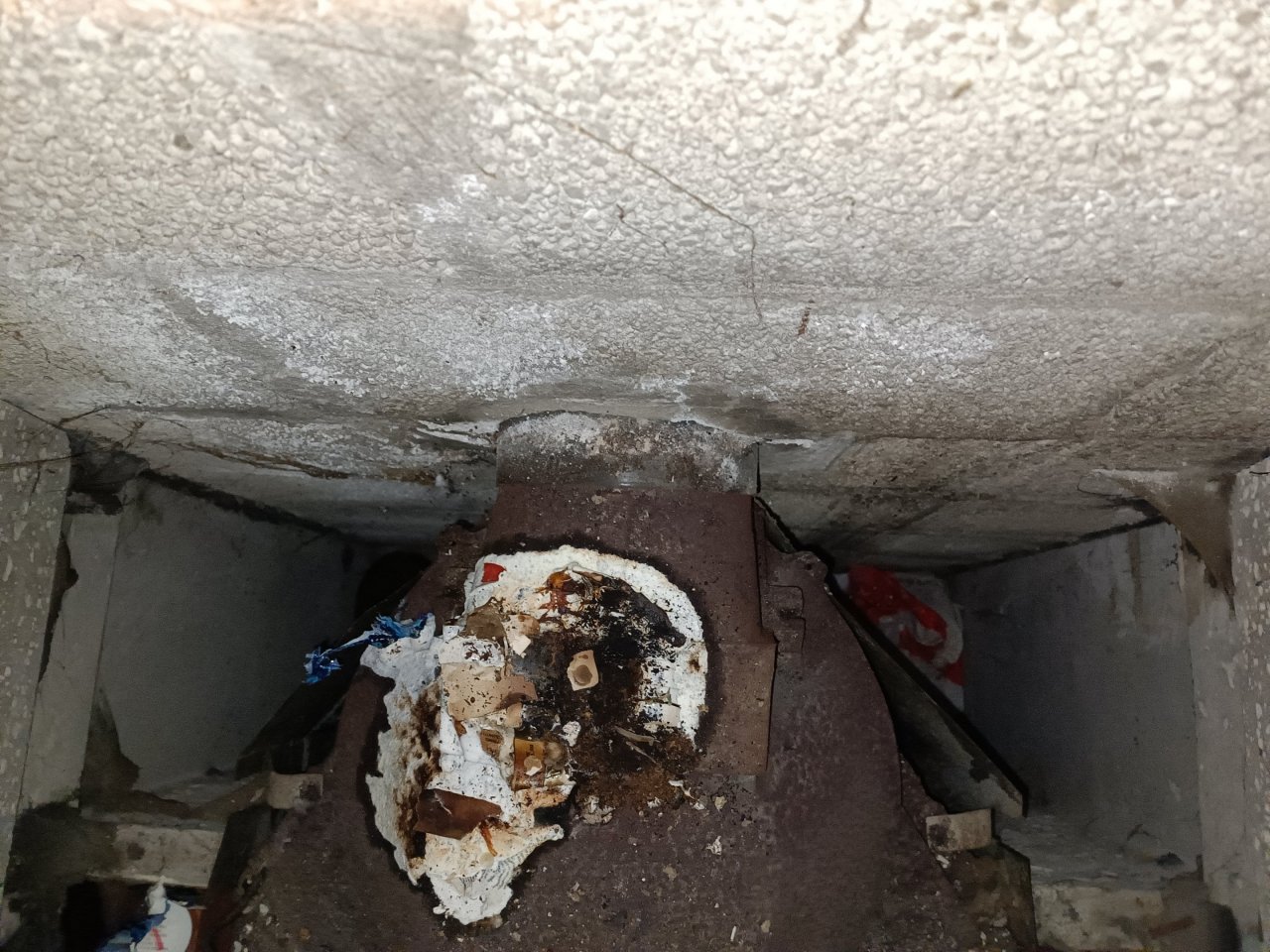 2022-08-02 22.27.28.jpg