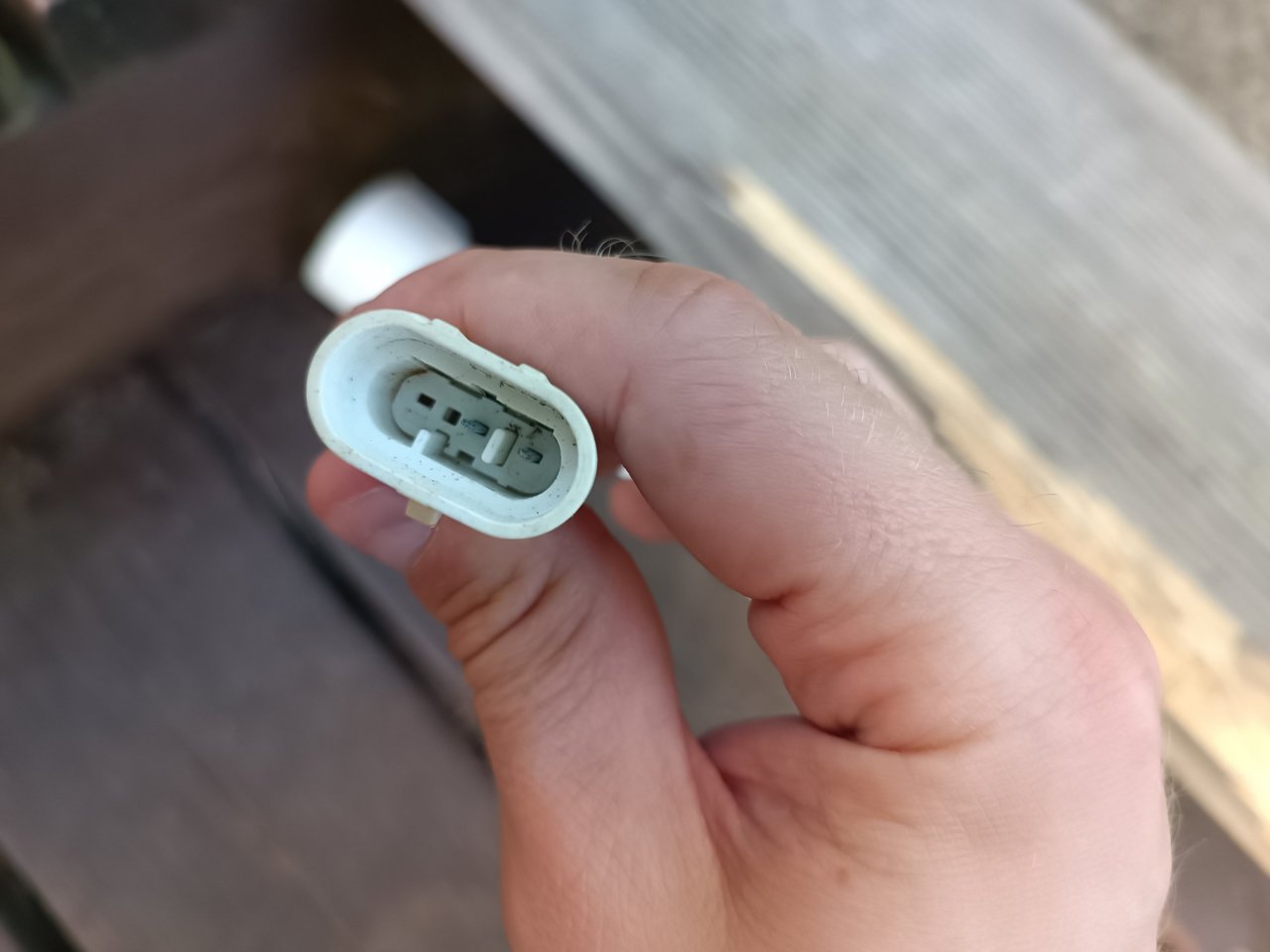 2022-09-01 18.52.26.jpg