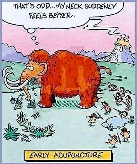 829954431_EarlyAcupuncture.png.db4ca6950b08aad22f85b100d89f848f.png