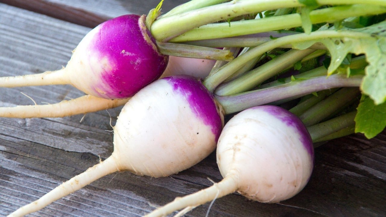 turnip-1600x900.jpg