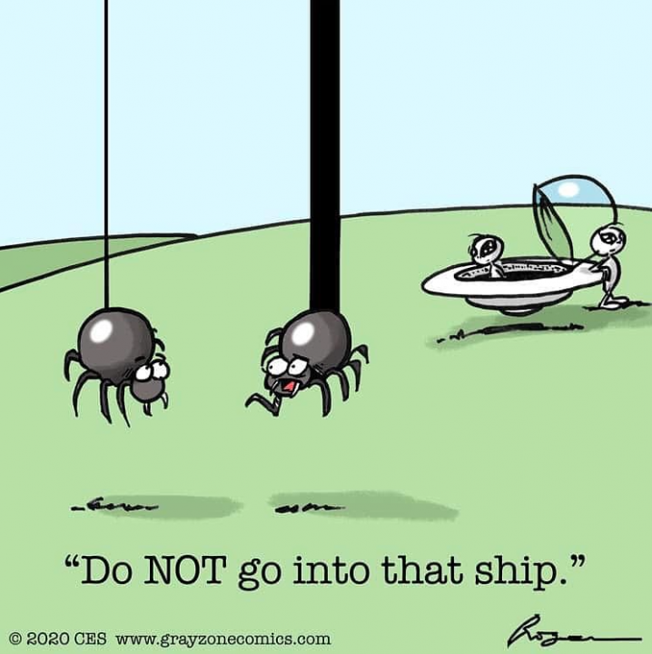 702209549_Aliensandprobing-spider.thumb.png.4e01250c995656f4f74a8f7cdc09d083.png