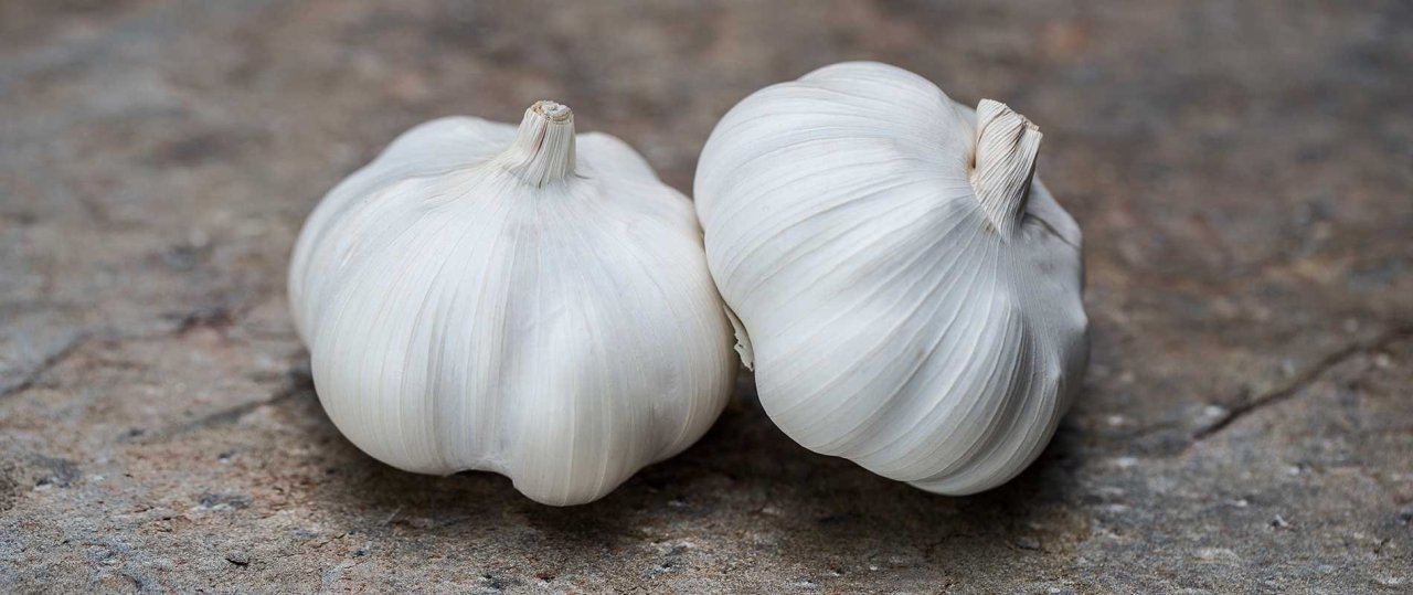 kaaterud_stort_hvitlok.jpg