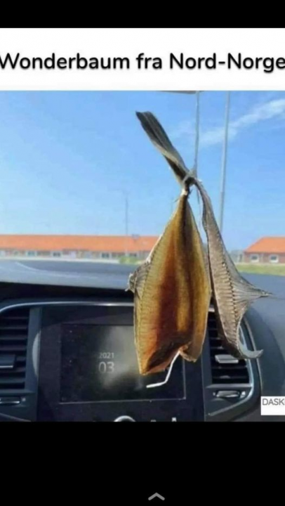 624982025_Wunderbaumfranordnorge.thumb.png.699c264fc035d1a65a1d5a0c0ccbe0cf.png