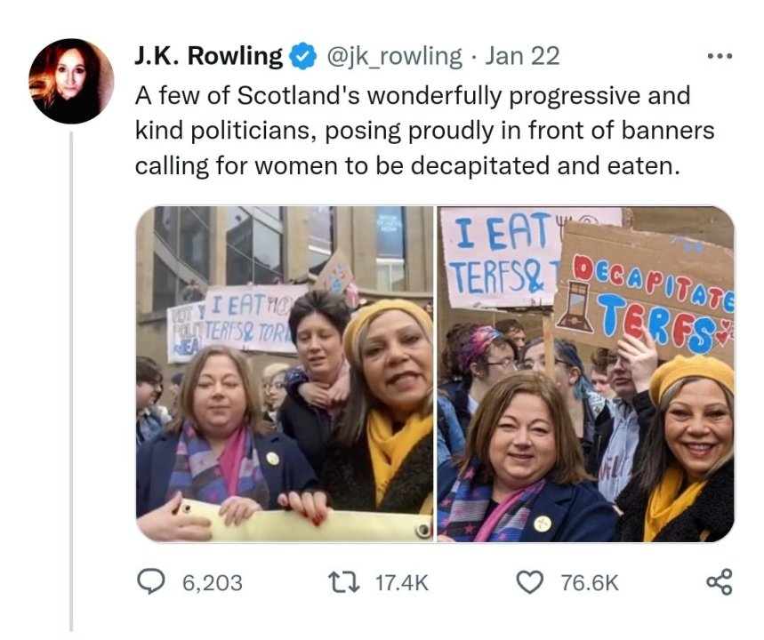 decapitate terfs.jpg