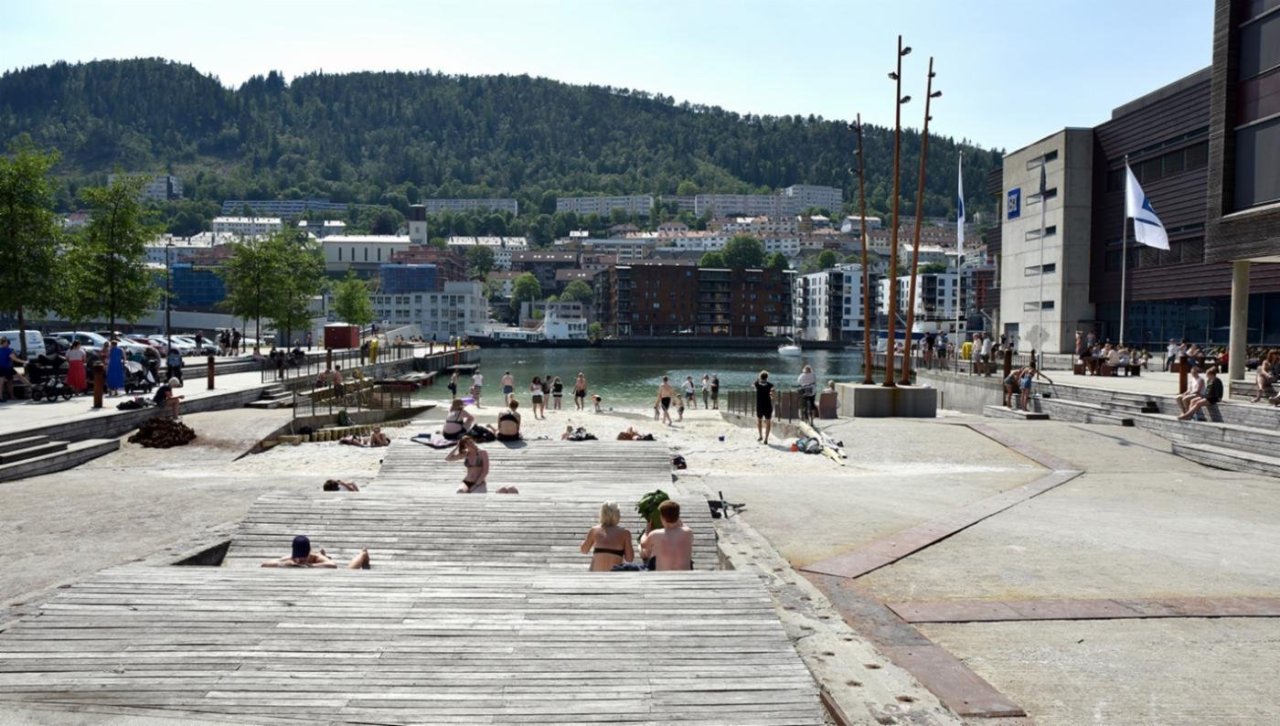 Christine Hvidsten DSC_7896 kopi (1) kopi.jpg