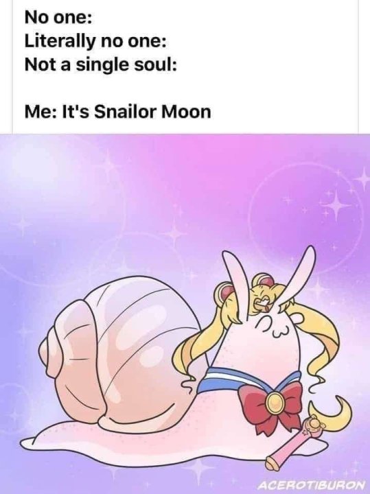 animal-no-one-literally-no-one-not-single-soul-s-snailor-moon-acerotiburon.thumb.jpg.be10b4d75af567d5a43f4a6dbf64174e.jpg