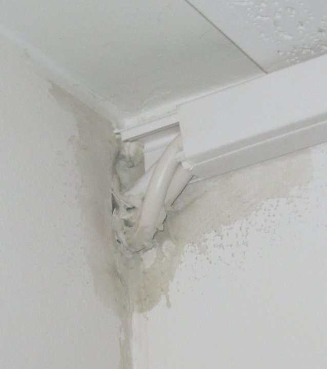 4011 tak nærbilde.jpg