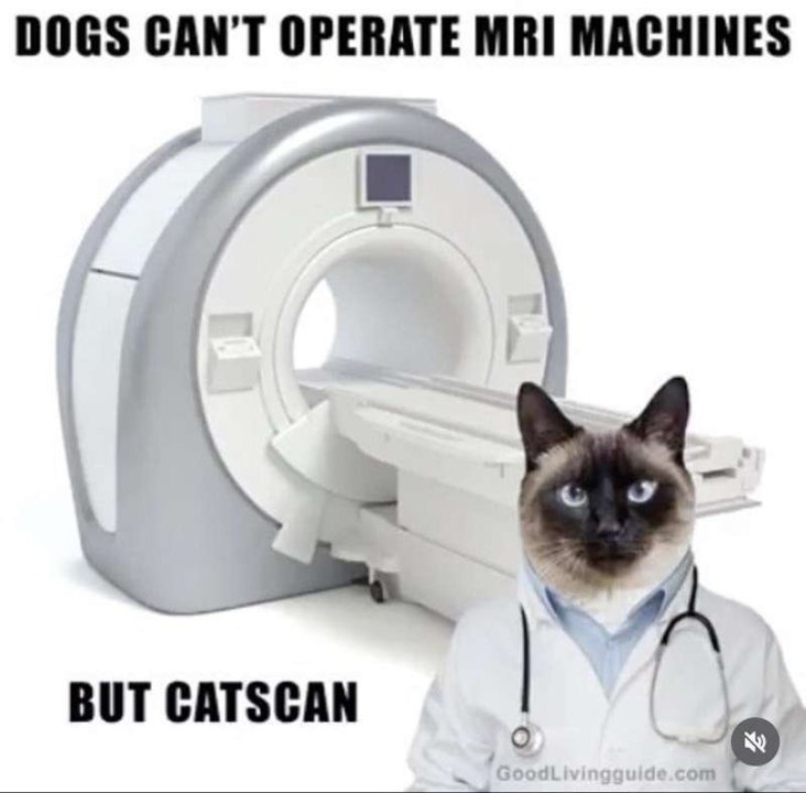 dogs-cant-operate-mri-machines-but-catscan-goodlivingguidecom-7.thumb.jpg.14f3218cfcbac475f3569cb0159790bd.jpg