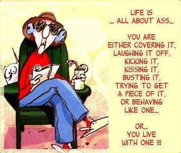 allaboutass.jpg.9d15c31a78f46b91583fb80850519dc9.jpg