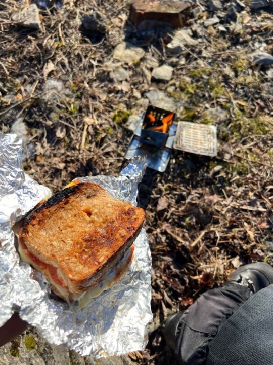 IMG_4256.thumb.jpeg.5b613e18bb81ec825365e00a6a25b7c4 (1).jpeg