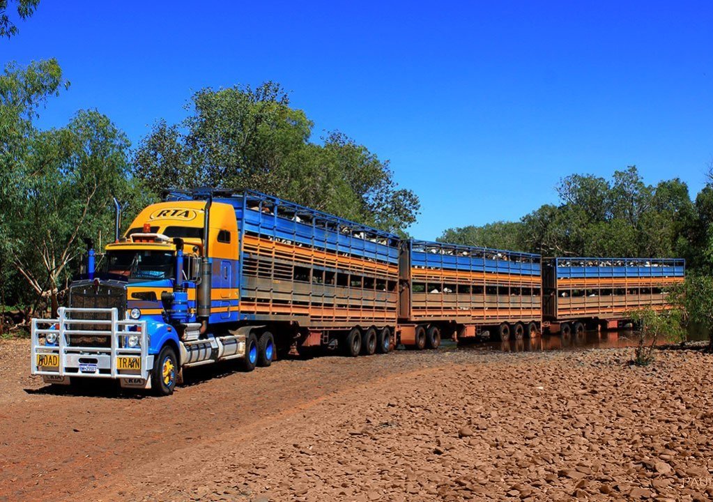 RTA-Cattle-Trucks-in-Mount-Stanford-NT.jpg