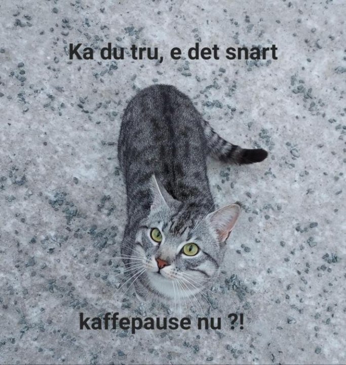 20221207_104908(0).thumb.jpg.69959eb77e076197d0095ef41bbeb042 (1).jpg