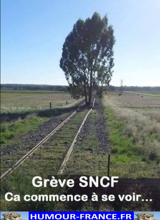 Screenshot 2025-08-06 at 17-33-27 https __eu1-browse.startpage.com.png